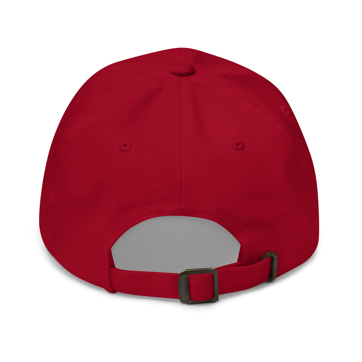 Cranberry Soli Deo Gloria dad hat by Theologie Clothing, back view